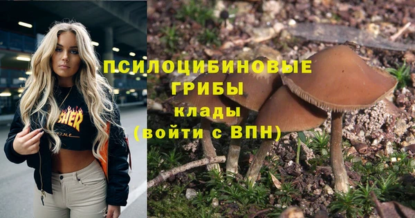 ALPHA-PVP Володарск