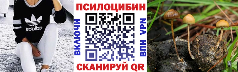OMG вход  Челябинск  Псилоцибиновые грибы прущие грибы 